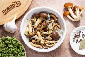 Маринованные опята с уксусом